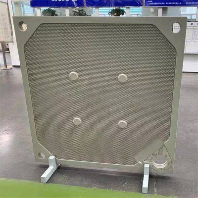 High Pressure PP Diaphragm Filter Plate For Membrane Filter Press