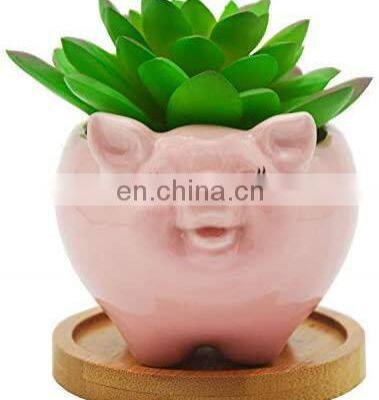 Top Fashion Flower Pot Decor Modern Indoor Terracotta Color Animal Succulent Small Planter Pot