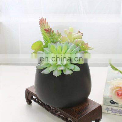 Home Garden Decorations Plastic Flower Wholesale Cute Pots Assorted Artificial Succulents With Black Pot