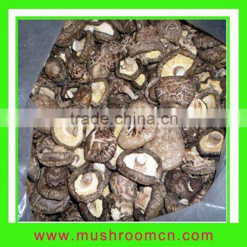 Dry Shiitake Mushroom