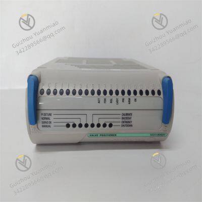 1C31194G01 EMERSON Valve positioner electronic module