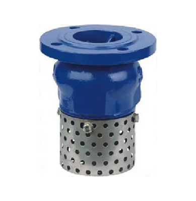 ST027H42X Flange Bottom Valve， Flanged Connection, Lift Type Foot Valve