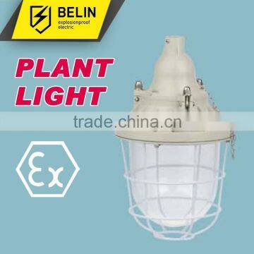 BAD51-250 Flameproof Explosion proof Light