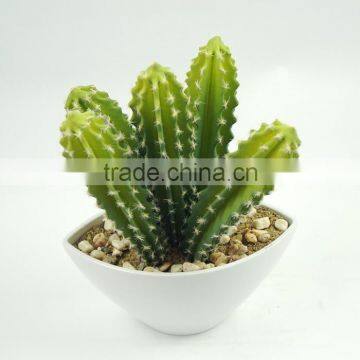Factory Price Hot Sale Plastic Bonsai Home Artificial Cactus Plants photo-2