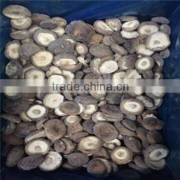 IQF Frozen Shiitake Mushroom