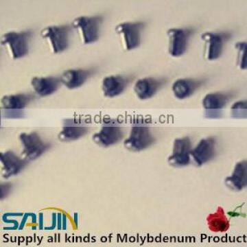 High Quality Molybdenum Rivet Screw Molybdenum Point for High Temperature Furnace