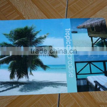 Nice custom printing kithen food meal clear plastic PP placemat,custom placemat