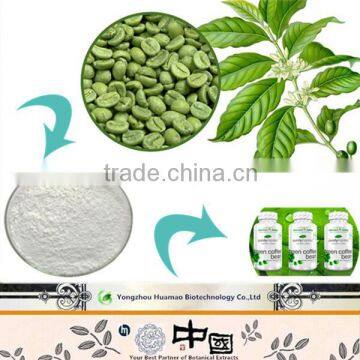 Best Selling Products high quality organic 5%-25% chlorogenic acid