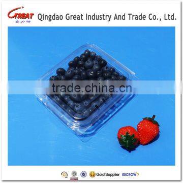 Clear Disposable Food Grade Pet Plastic Fruit Blueberry Container