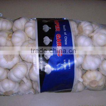 Pure White Garlic photo-3