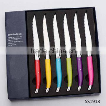 6pcs steak knife set with PET box