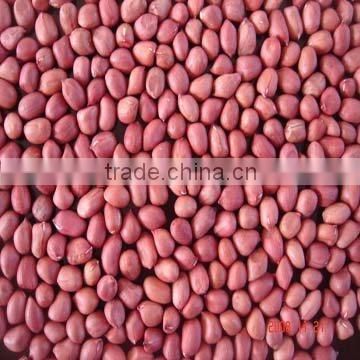 Red skin peanuts