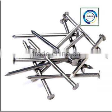 Common Nails,Round Iron Polish Common Nails