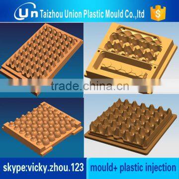 Professionam Company OEM Custom Plastic Egg Tray Mold photo-3