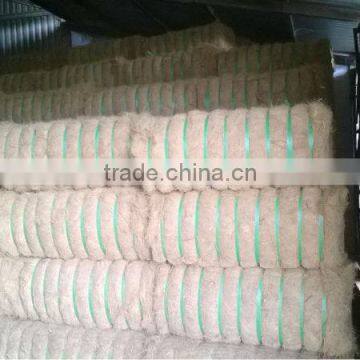 Coconut Fiber 2016 in Vietnam (qq : 2598494113) photo-3