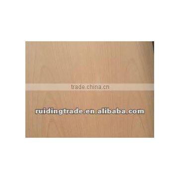 beech veneer plywood