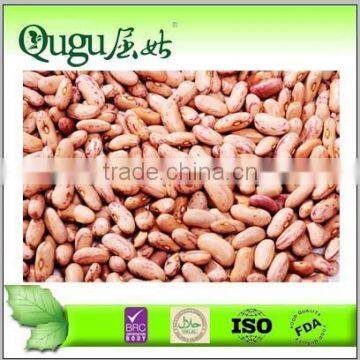 Best Taste Canned Pinto Beans in Tin 400g/850g/3000g