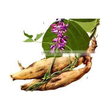 Kudzu Root Extract Powder