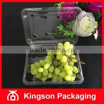 Disposable Transparent Plastic Punnet for Fruit