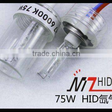 12V 75W HID BULB