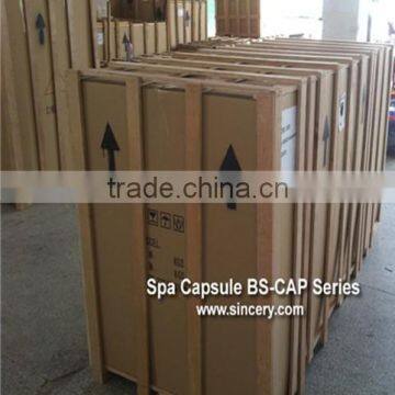 Spa Capsule Full Body Spa Steamer /ionizer Foot Detox Machine /ion Detox Foot Spa Machine photo-4