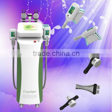 Lose Weight Machine / Five Heads Fat Reduce Cryolipolysis Machine Vertical With CE Approved / Cooling Cryotech Fat Loss Slimming Slimming Reshaping