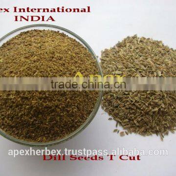 Dill Seeds / Dill Seeds TBC / Anthem Graveolens photo-2