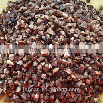 High Quality Buckwheat photo-3