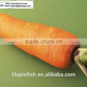 wholesale carrots from China