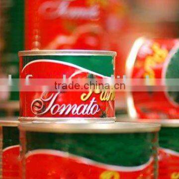 canned tomato paste