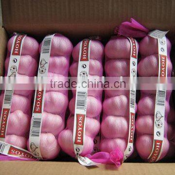 new crop GLOBALGAP & HACCP garlic