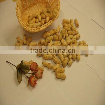 2013 new crop Washed China Peanut in Shell peanut export to euro