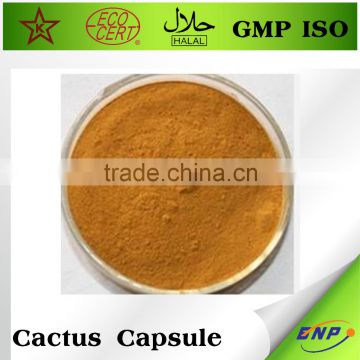 cactus honey powder from BNP suppliers