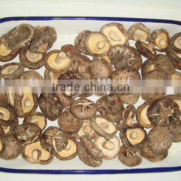 DRIED SHIITAKE MUSHROOM