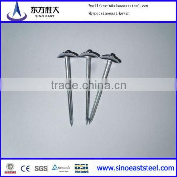 Hot sales! China factory supply high quality galvanized umbrella head roofing nails