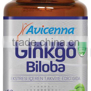 Ginkgo Leaf Brain Supplements