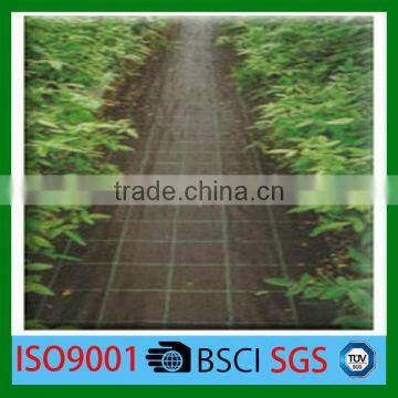 Hot promotion! agricultural vegetable protective ground cover