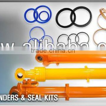 Excavator Hydraulic Arm Boom Bucket Cylinder and Seal Kit