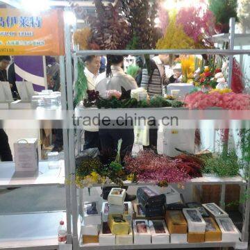 Decorative Garden Cart / Metal Flower Cart photo-4