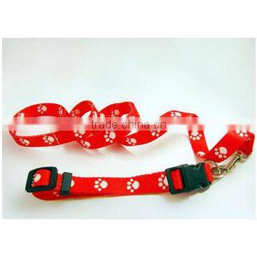 Dog Leash and Collar