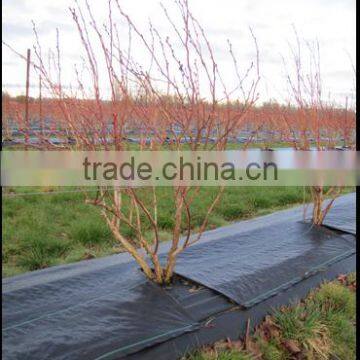 Pp/pe Woven Mesh Tree Weed Mat photo-5