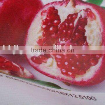 17.5 oz Pvc Flex Banner Coated 200*500 18*12 Frontlit photo-2