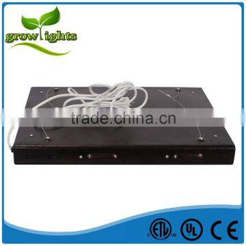 Indoor Greenhouse Hydroponics Grow Light T5 Fixture /t5 Lights for Hydroponic Growers photo-5