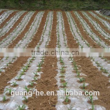 Transparent pla mulch film,100% compostable vegetable garden mulch