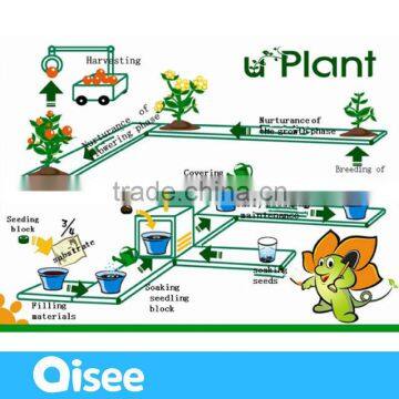 Temperate Climate and Indoor Plants Use Greenhouse photo-3