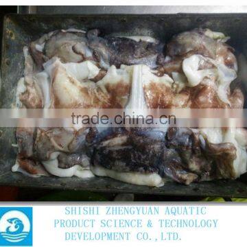 Frozen Peru Squid Neck(Giant Squid) photo-2