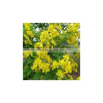 CALCIUM SENNOSIDES EXTRACT photo-2