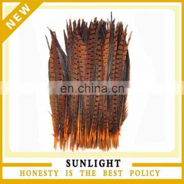 Natural Pheasant Tail Pheasant Feather