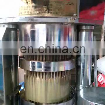 6YZ-230 Fully Automatic Hydraulic jatropha castor oil extraction machine