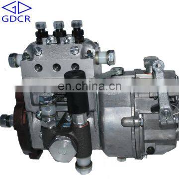 Wuxi Weifu Fuel Injection Pump 2IW225 for Luotuo YTR2105T